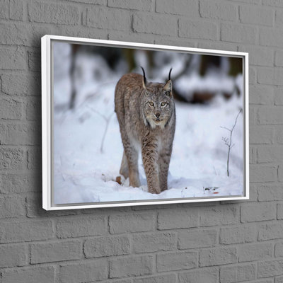 Print on Canvas