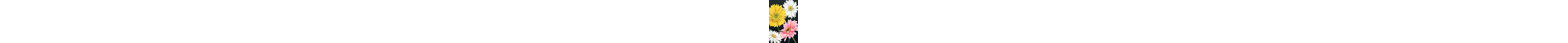 Gerbera Daisy I by Grace Popp - Wrapped Canvas Painting-846139154