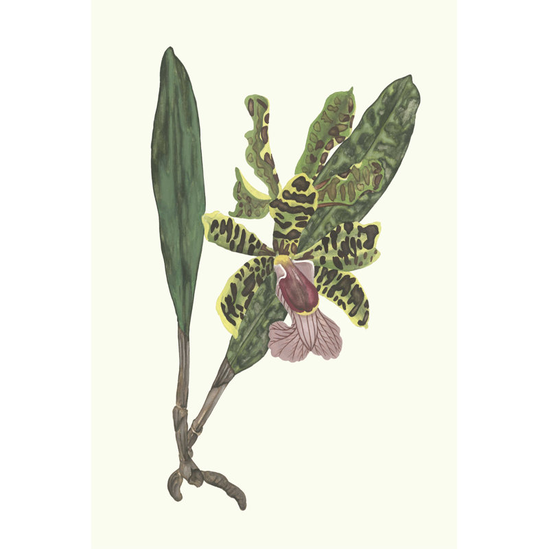 Orchidée II, H 48 po x l 32 po