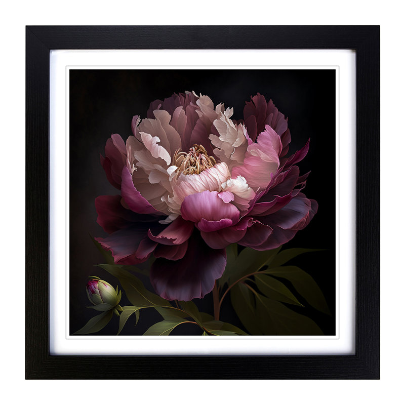 Peony Flower - Framed Print, Black