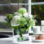 Vase en verre transparent-1812841391
