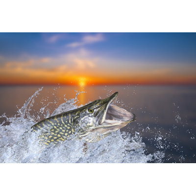 Estep Big Pike by FedBul - Wrapped Canvas Print