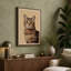 Tabby's Gaze Modern - Wrapped Canvas-449977673-449977678