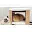 Elevated Pet Bed