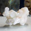 Vert apophyllite sur stilbite sur calcédoine