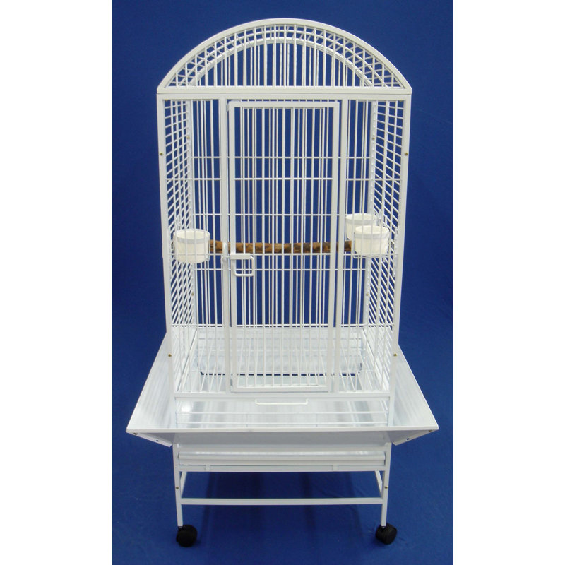 Cage à oiseaux étroite dôme perroquet, Argent antique