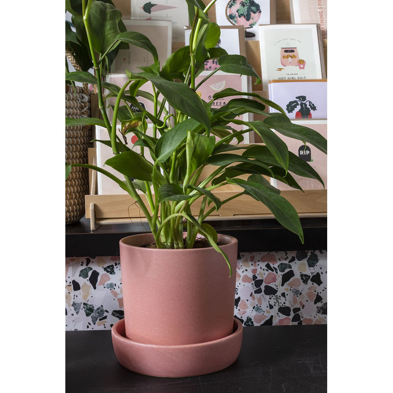 Pot à fleurs en céramique Zandra, Rose, H 6,5 po x l 6,75 po x P 6,75 po