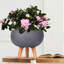 Concrete Effect Bowl Planter on Hardwood Legs, Round Indoor Plant Pot Stand for Indoor Plants, Shallow Planter with Honeycomb Pattern-1232425387-1232425386