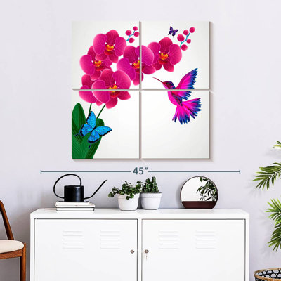 Orchidées colibri