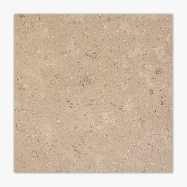 Caspian Almond Honed 12x12 Limestone Tile
