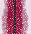 Raspberry