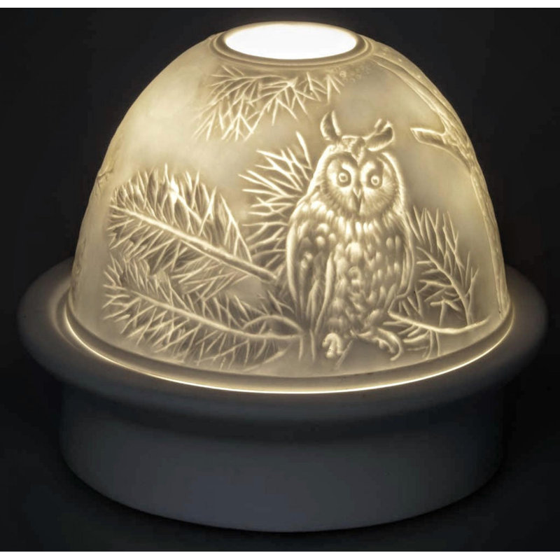 Dôme de hibou