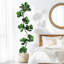 Figuier artificiel figuier artificiel-111312779