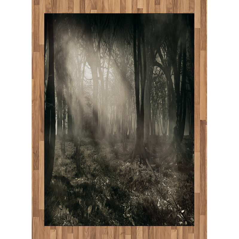 Kaelyn Hand Woven Area Rug, Rectangle 120 x 180cm