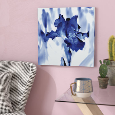 " Blue Ice Iris "