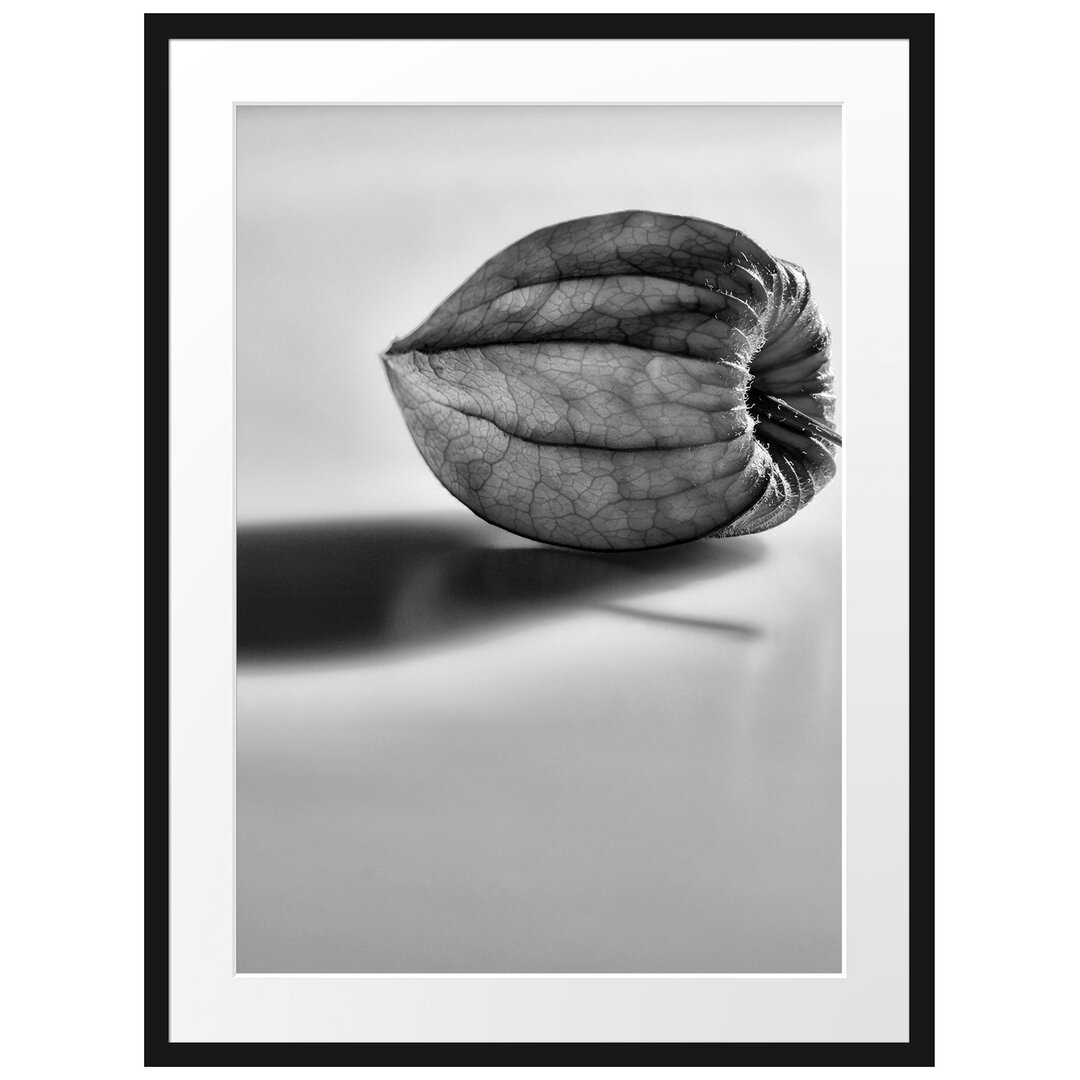 Kleine Physalis Gerahmter Fotodruck Poster