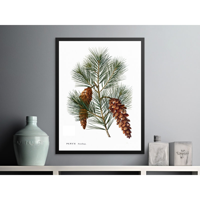 Donna No Frame Print, 9x11