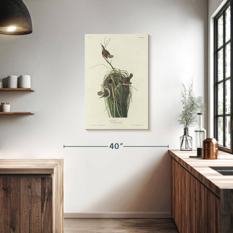 Keiri Marsh Wren, 36" H x 24" W
