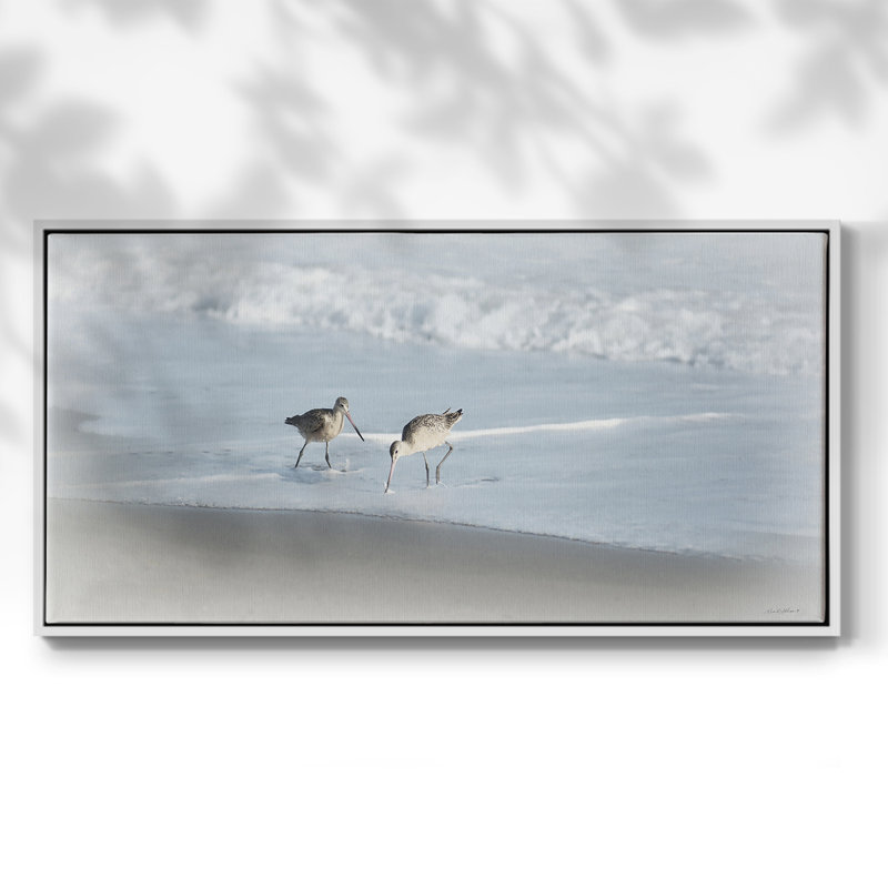 Sandpipers I - Toile tendue avec châssis tendue, prête à être accrochée, H 21 po x l 41 po, Blanc