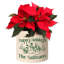 Personalized Snowman Family Ceramic Pot Planter-1497682772-1496907288