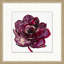 Floral Studies 1 Framed Print