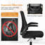 Inbox Zero Office Chair