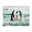 Angeles M. Pomata, famille de manchots empereurs sur toile-1162573543