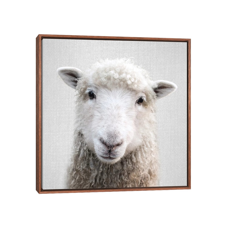 «Sheep» - reproduction de photo, Cadre bois classique, H 37 po x l 37 po x P 1,5 po