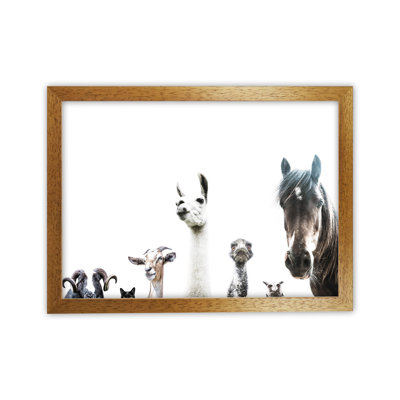Animal Crew by Victoria Frost - Print