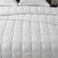 Microfiber Essential Blanket