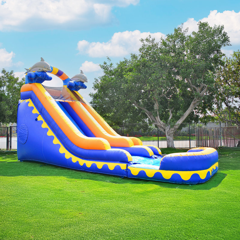 Toboggan aquatique de qualité commerciale avec piscine JumpPage 18 pi Dolphin Splash