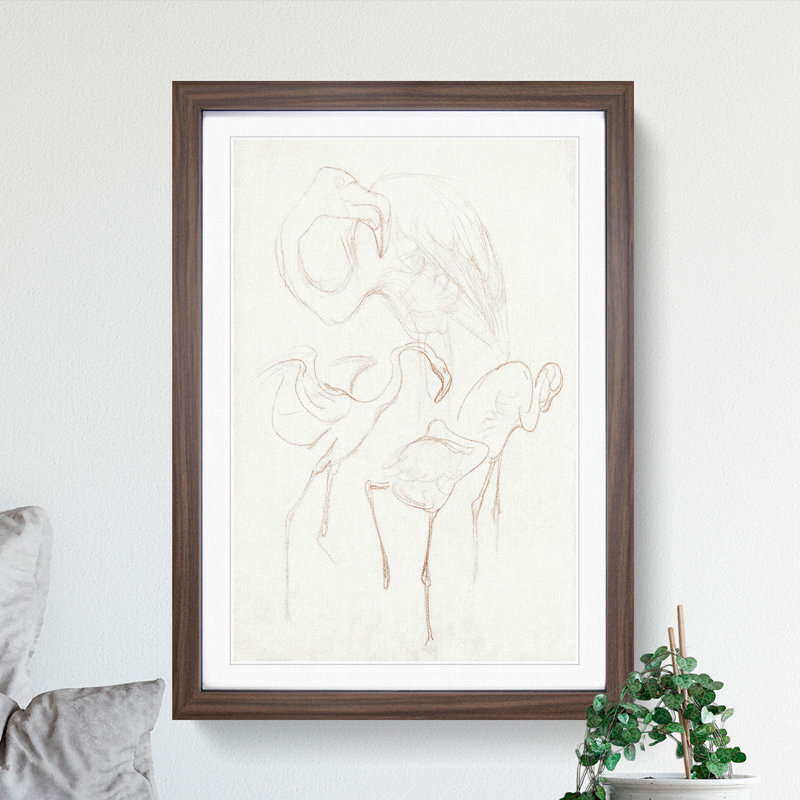 Flamingo Study by Theo Van Hoytema - Picture Frame Drawing, 48cm H x 36cm W x 2cm D, Oak Framed