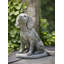 Dog Garden Statue-13917186