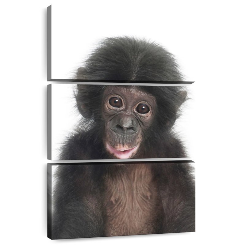 Brampt Baby Monkey, 45" H x 28" W