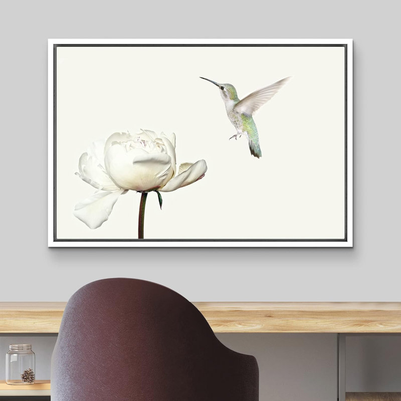 Animaux, colibri vole sur une fleur d'œillet blanc sur toile, H 16 po x l 24 po x P 1,5 po, Cadre blanc