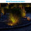 Lumières de roche extérieures 5CCT LED, projecteurs de paysage à basse tension 5W, lumière ronde en pierre-111706435