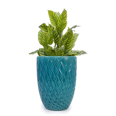 Cyan Ceramic Flowerpot With Glossy Finish, Ideal For Patio, Garden, And Conservatory, All - Weather Durability, 16.83" L W 21.02" H Planter, Drainage Strong Roots,