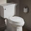 Stonewood Quiet-Close Compression-Molded Wood Toilet Seat-1987577915-1901214032