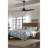 Alleron 56'' Ceiling Fan with LED Lights-1290082124