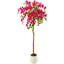 Plant-1790938137