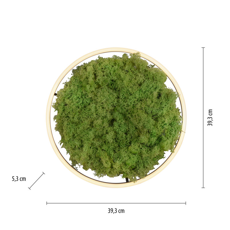 Ahlivia Not Applicable LED Flush Mount