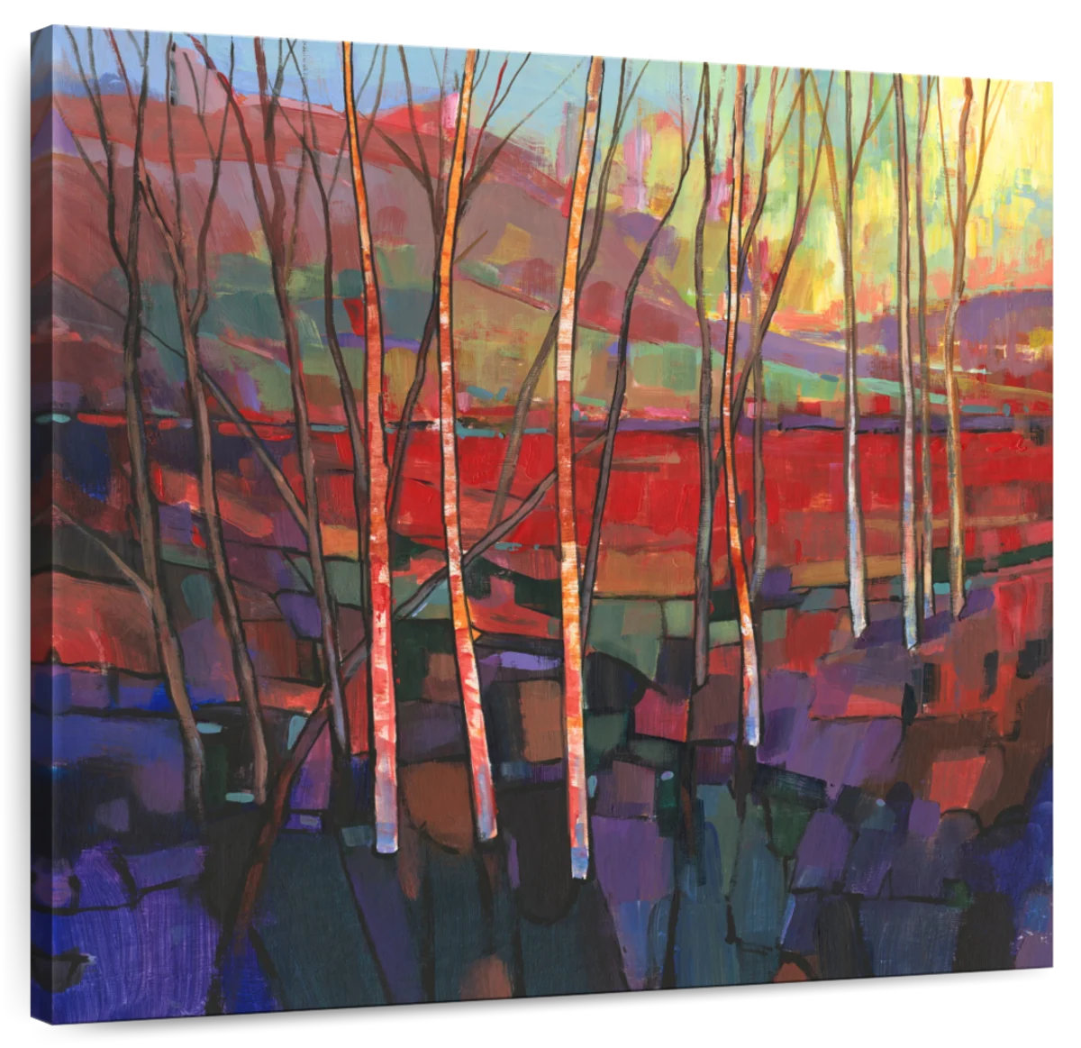 Elephant Stock Patchwork Trees I - Wayfair Canada