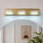 3-Lamp Copper Principal Acrylic LED Vanity Light