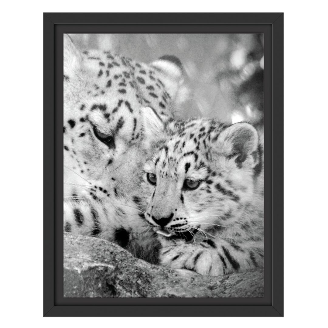 Gerahmtes Wandbild Leopard mit Jungtier