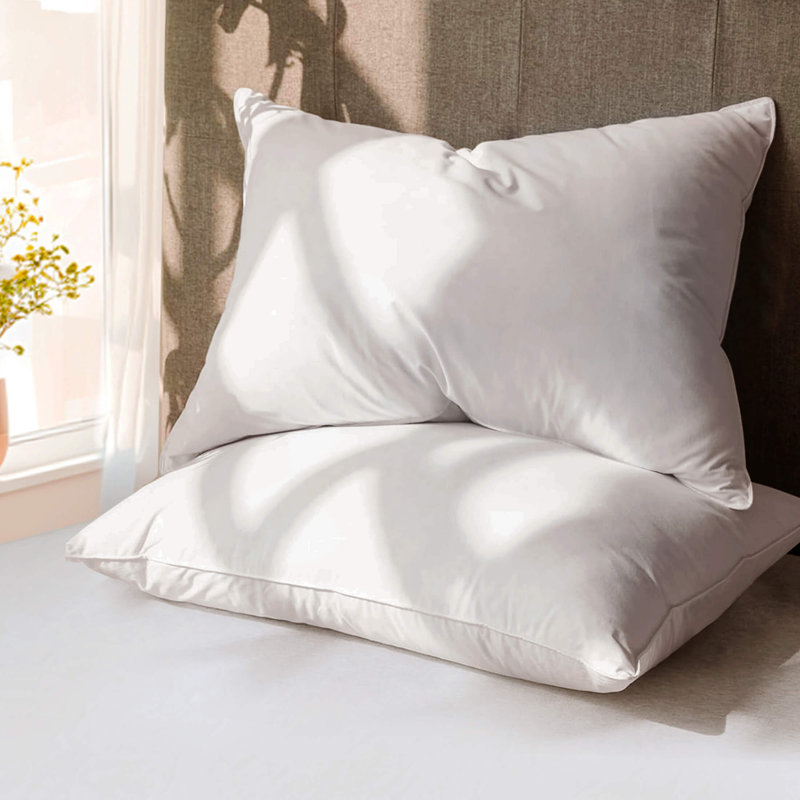Freman Sleeping Goose Down and Feather Plush Support Pillow (Set of 2), King, White
