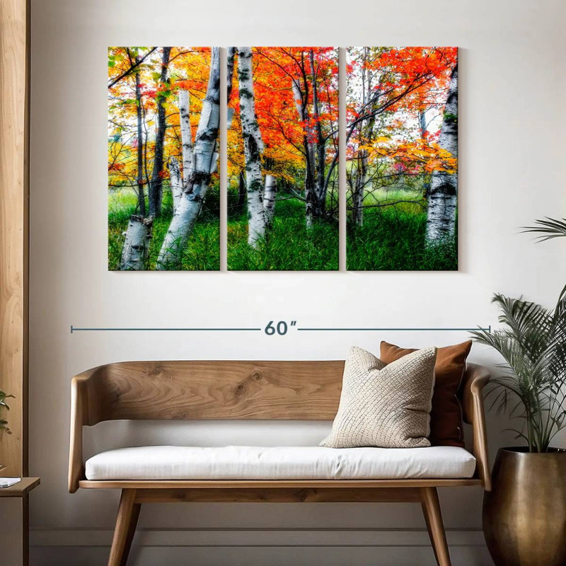 Alvord Birch Trees In Diffused Light During Fall, 32" H x 50" W