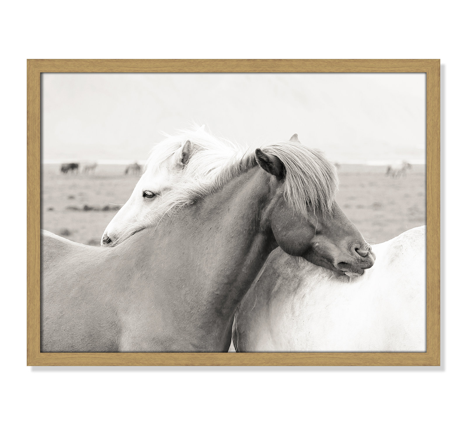 Melanie "Icelandic Meadow Horses" Print, 17" H x 23" W x 0.75" D, Natural Wood Grain Framed