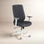 Max Mesh Task Chair-17245140