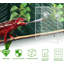 Mangeoire à insectes murale reptile dragon barbu pour lézard caméléon
