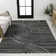 Hallie High-Low Minimalist Curve Geometric Black/White Rug